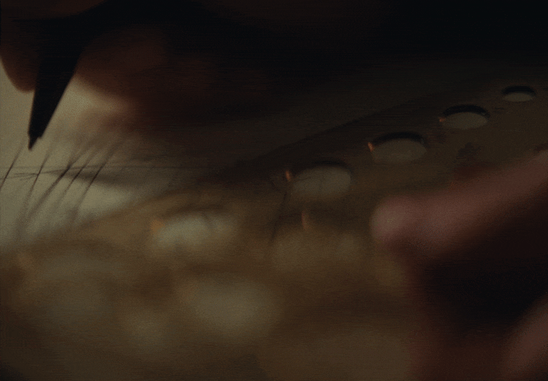 Bolt — The Lazy Ones, image 03