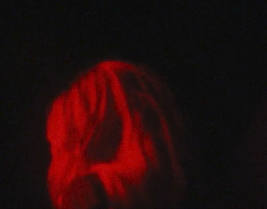 Cadillac — Zo&euml;, image 04