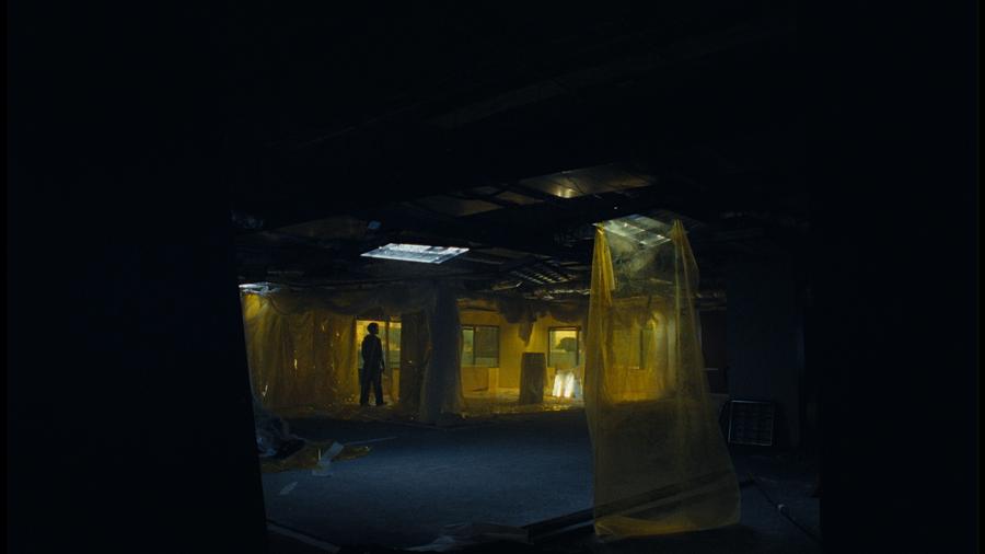 Lightfield — Beginner&rsquo;s Luck, image 06