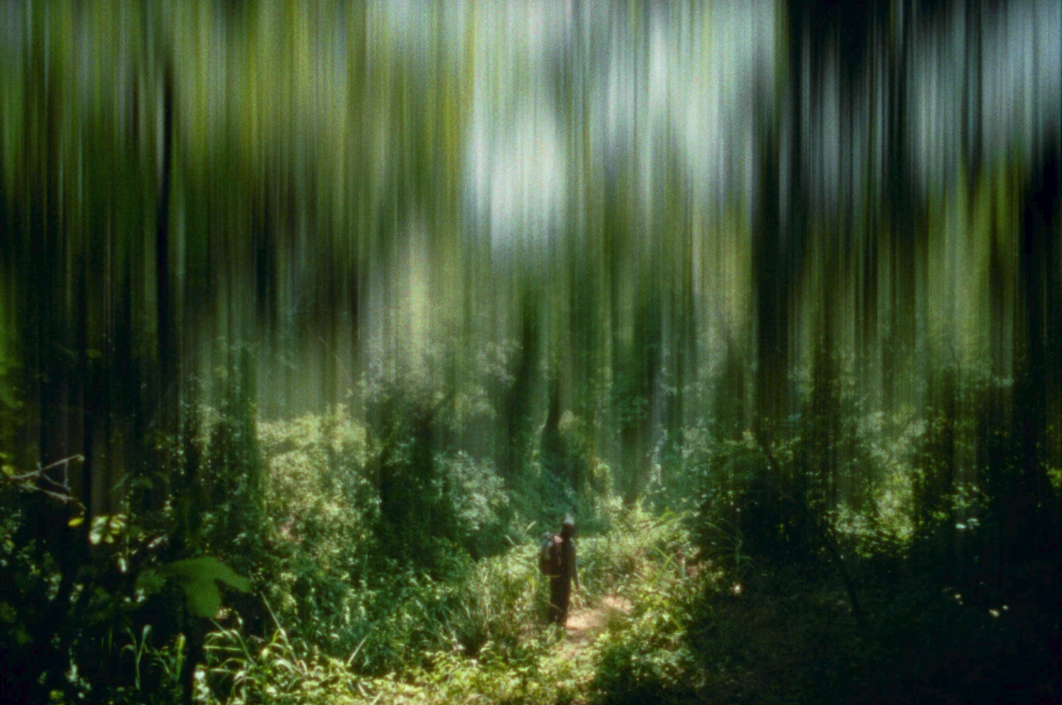 Usal Project — Ode to Nature, image 03